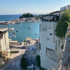 images/thea/psiart-thea (20).jpg